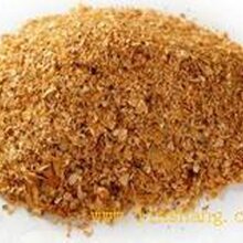 棉粕價(jià)格行情深度解析及趨勢(shì)預(yù)測