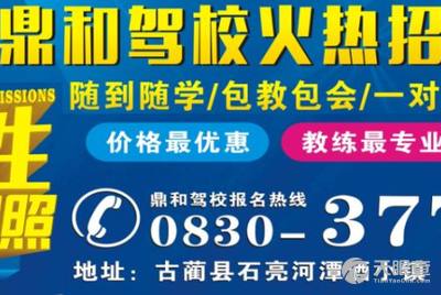 淄川司機招聘信息詳解，應聘指南與步驟全解析