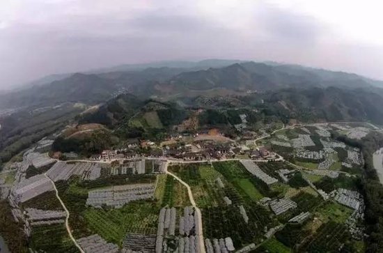 廣西昭平最新資訊，高科技產(chǎn)品引領未來，提升生活品質(zhì)