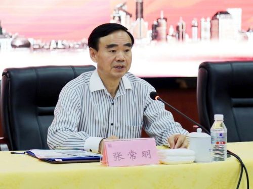 揭秘張常明最新消息，小巷中的隱藏瑰寶