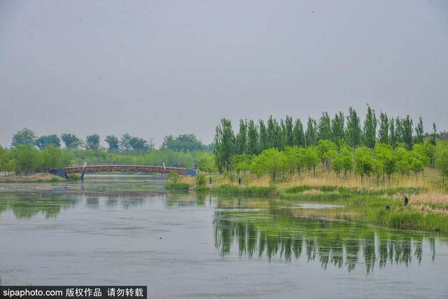 北京馬家灣濕地公園，巷弄綠意與隱秘特色小店探秘